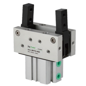 NMHT2 Toggle Model