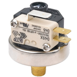 PF25-Steam Pressure Switch