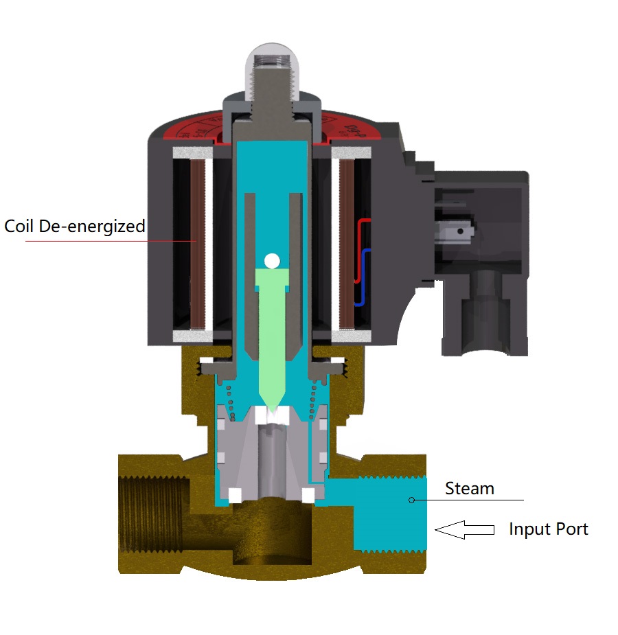 Steam Solenoid Valve Close Status