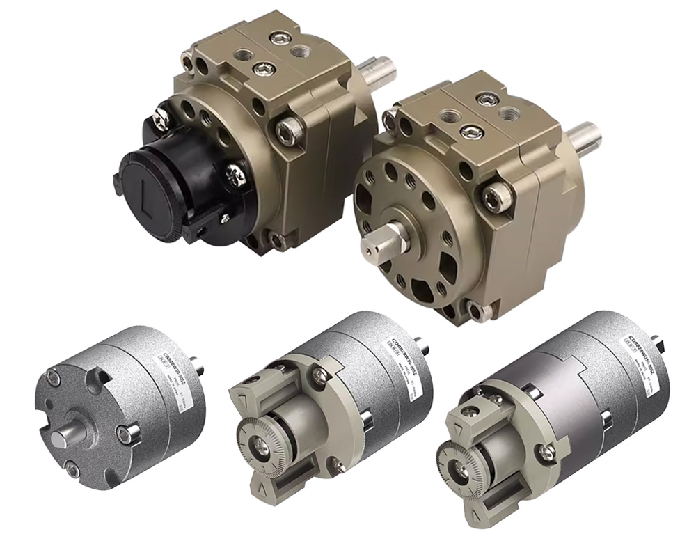 Vane type rotary cylinder